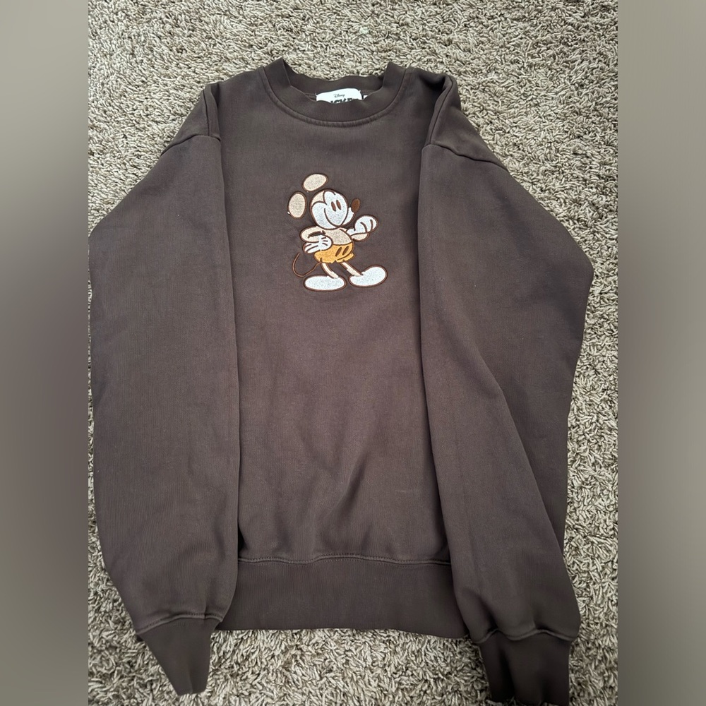 disneyland sweatshirt